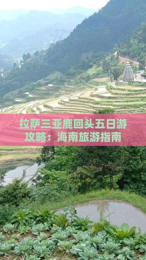 拉萨去三亚鹿回头五日游
