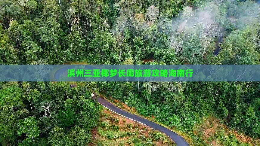 滨州去三亚椰梦长廊自由团