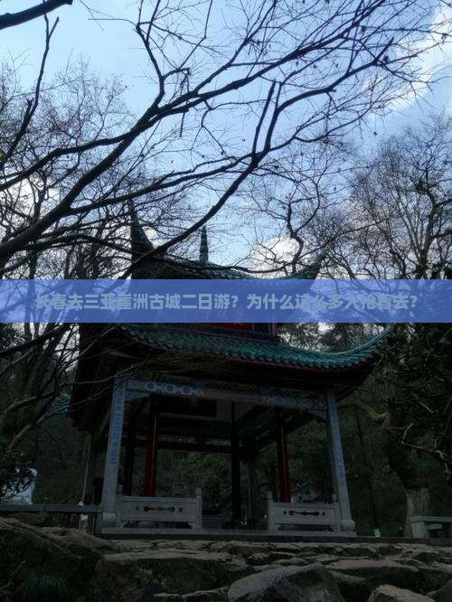 长春去三亚崖洲古城二日游