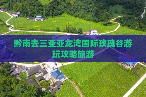 黔南去三亚亚龙湾国际玫瑰谷一日游
