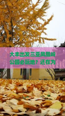 大丰出发三亚凤凰岭公园必玩地