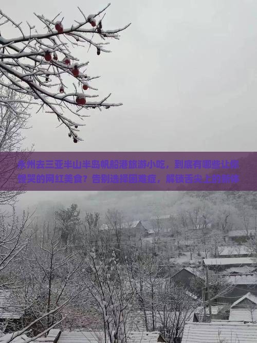 永州去三亚半山半岛帆船港旅游小吃