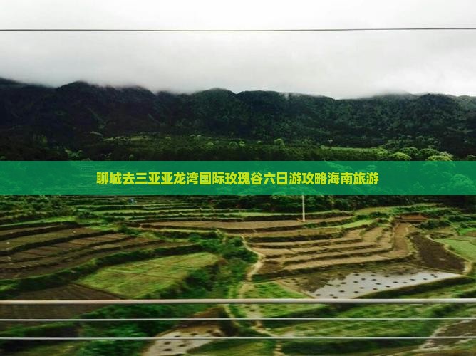 聊城去三亚亚龙湾国际玫瑰谷六日游