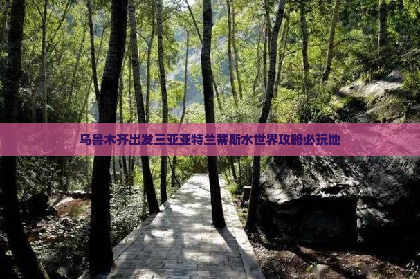 乌鲁木齐出发三亚亚特兰蒂斯水世界必玩地