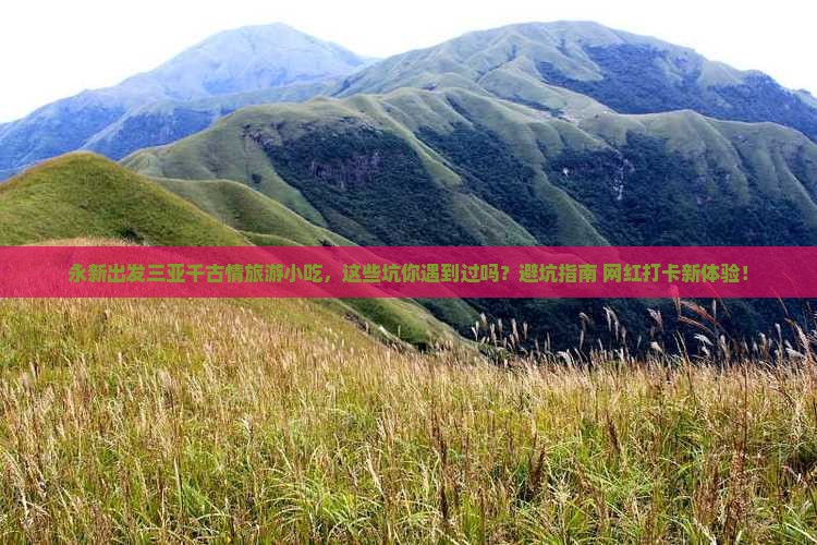 永新出发三亚千古情旅游小吃