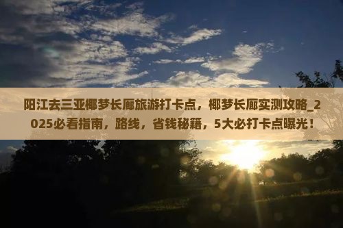 阳江去三亚椰梦长廊旅游打卡点
