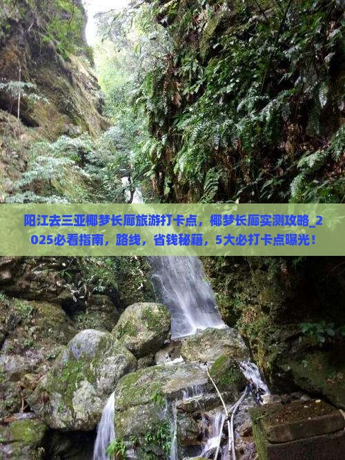 阳江去三亚椰梦长廊旅游打卡点