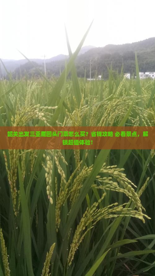 韶关出发三亚鹿回头门票