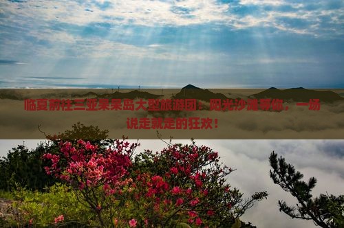 临夏前往三亚呆呆岛大型旅游团