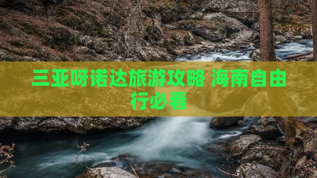鹰潭去三亚呀诺达景区自由团