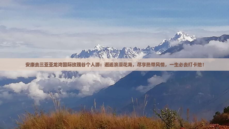 安康去三亚亚龙湾国际玫瑰谷个人游