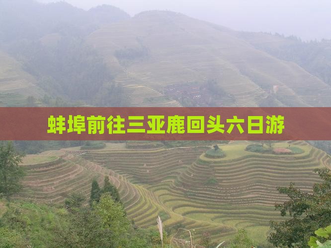 蚌埠前往三亚鹿回头六日游