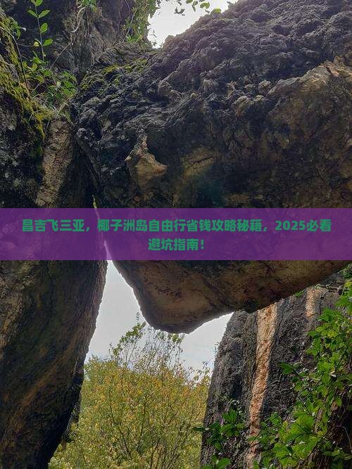 昌吉前往三亚椰子洲岛自由行