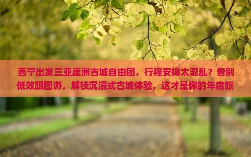 西宁出发三亚崖洲古城自由团