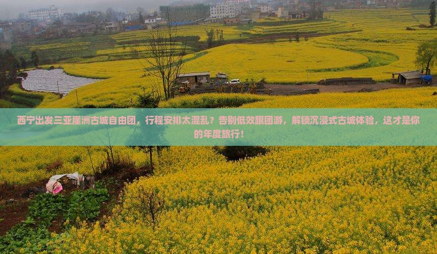 西宁出发三亚崖洲古城自由团