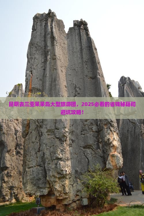 昆明去三亚呆呆岛大型旅游团