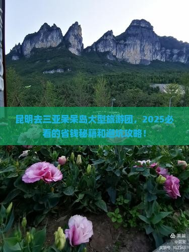 昆明去三亚呆呆岛大型旅游团