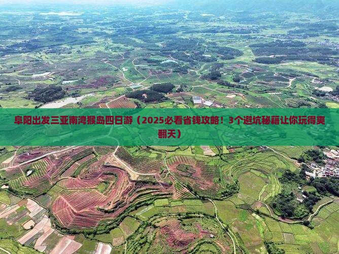 阜阳出发三亚南湾猴岛四日游