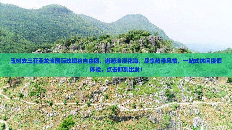 玉树去三亚亚龙湾国际玫瑰谷自由团