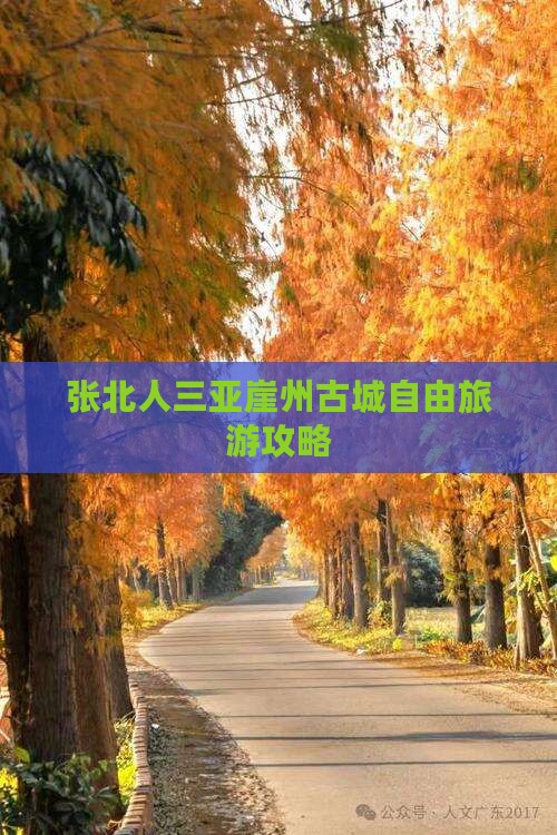 张北去三亚崖洲古城自由团