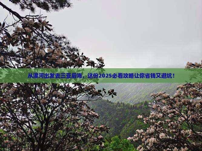 漯河出发三亚后海旅行社