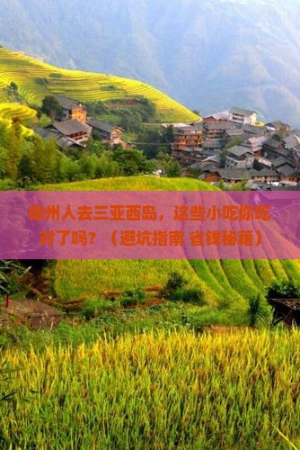 德州去三亚西岛旅游小吃