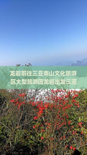 龙岩前往三亚南山文化旅游区大型旅游团
