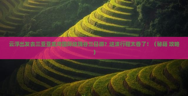 云浮去三亚亚龙湾国际玫瑰谷三日游