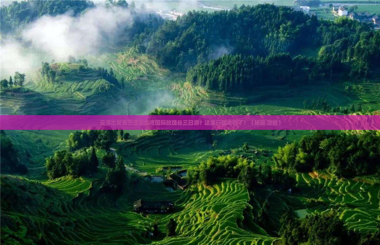 云浮去三亚亚龙湾国际玫瑰谷三日游