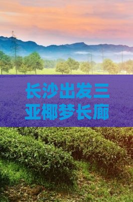 长沙出发三亚椰梦长廊四日游