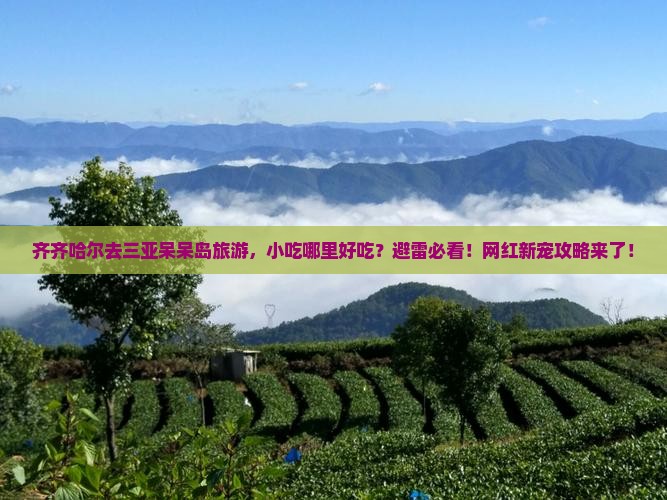 齐齐哈尔前往三亚呆呆岛旅游小吃