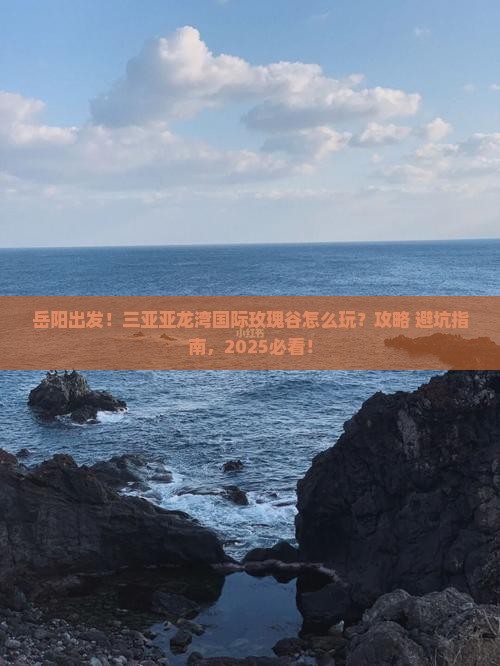 岳阳出发三亚亚龙湾国际玫瑰谷旅行社
