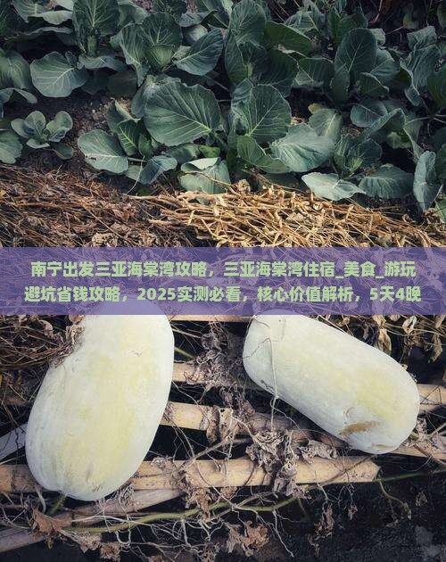 南宁出发三亚海棠湾攻略
