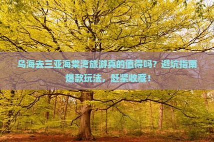 乌海前往三亚海棠湾旅游