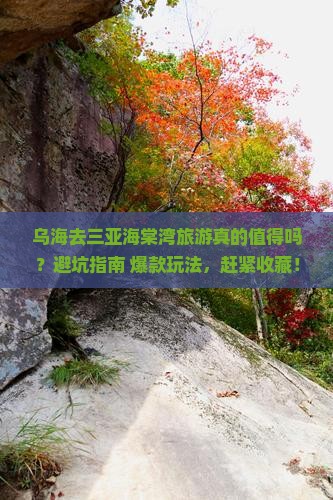 乌海前往三亚海棠湾旅游