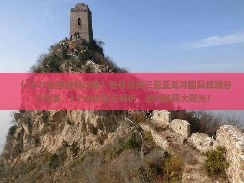 驻马店去三亚亚龙湾国际玫瑰谷七日游