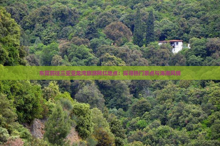 东莞前往三亚亚龙湾旅游网红地点：探寻热门景点与海南风情