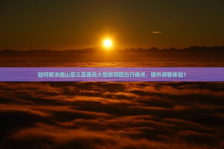 如何解决唐山至三亚西岛大型旅游团出行痛点，提升游客体验？