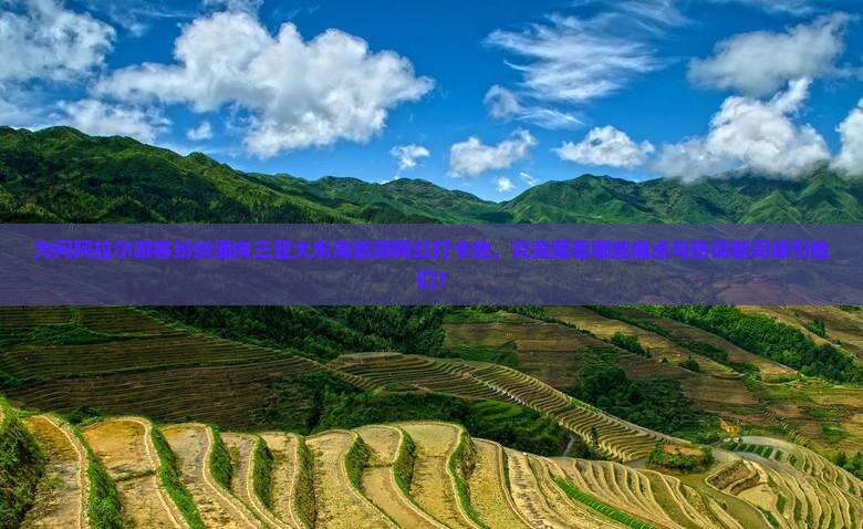为何阿拉尔游客纷纷涌向三亚大东海旅游网红打卡地，究竟藏着哪些痛点与热词新词吸引他们？
