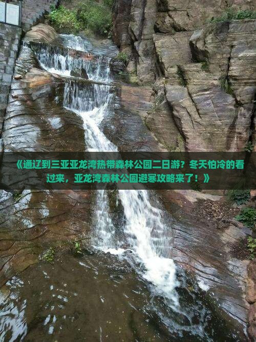 《通辽到三亚亚龙湾热带森林公园二日游？冬天怕冷的看过来，亚龙湾森林公园避寒攻略来了！》
