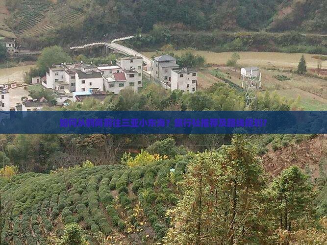 如何从鹤岗前往三亚小东海？旅行社推荐及路线规划？