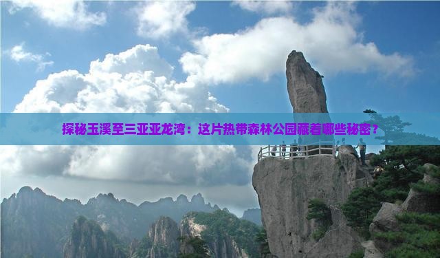探秘玉溪至三亚亚龙湾：这片热带森林公园藏着哪些秘密？