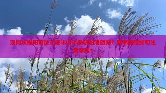 如何从揭阳前往三亚半山半岛帆船港旅游？有哪些路线和注意事项？