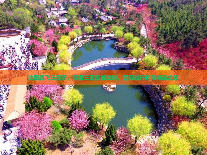 沈阳直飞三亚湾，探索三亚旅游攻略，国际旅行有限精选之旅
