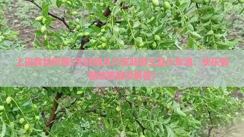 上班族如何用5天时间从六安畅游三亚小东海，快乐假期攻略疑问解答！