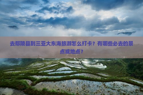 去鄢陵县到三亚大东海旅游怎么打卡？有哪些必去的景点或地点？