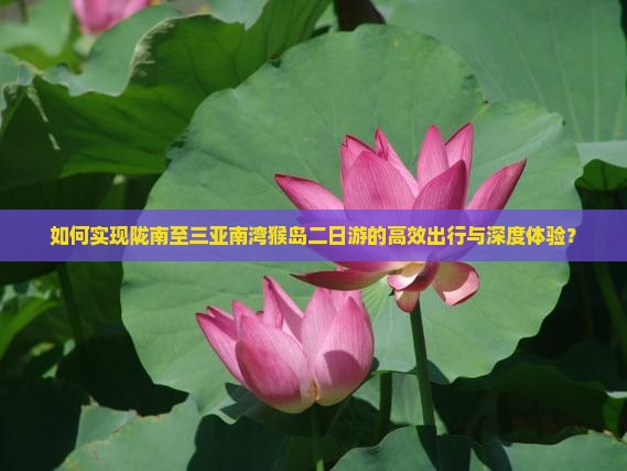 如何实现陇南至三亚南湾猴岛二日游的高效出行与深度体验？