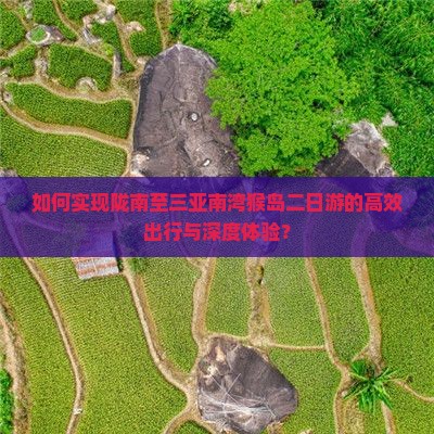 如何实现陇南至三亚南湾猴岛二日游的高效出行与深度体验？