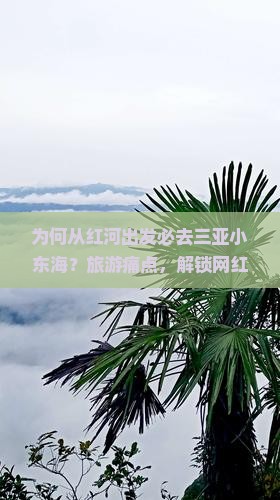 为何从红河出发必去三亚小东海？旅游痛点，解锁网红打卡新地标！