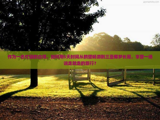 作为一名忙碌的白领，如何用5天时间从鹤壁畅游到三亚椰梦长廊，享受一场说走就走的旅行？